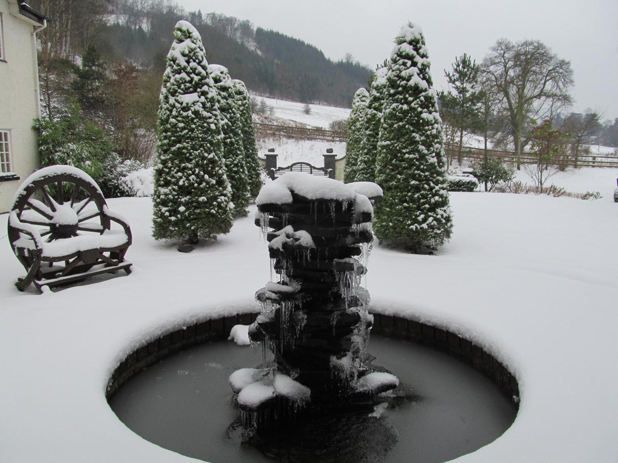 Wild Pheasant Hotel & Spa Llangollen Exteriér fotografie